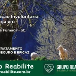 Internação Involuntária Feminina em Morro da Fumaça: Salve a Vida de Quem Você Ama