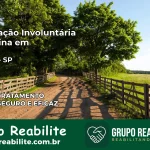 Internação Involuntária Feminina em Nantes: Salve a Vida de Quem Você Ama