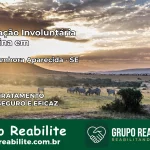 Internação Involuntária Feminina em Nossa Senhora Aparecida: Salve a Vida de Quem Você Ama