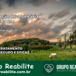 Internação Involuntária Feminina em Nova Aurora: Salve a Vida de Quem Você Ama