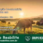 Internação Involuntária Feminina em Nova Redenção: Salve a Vida de Quem Você Ama