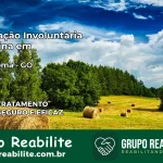 Internação Involuntária Feminina em Nova Roma: Salve a Vida de Quem Você Ama
