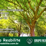 Internação Involuntária Feminina em Palmeiras: Salve a Vida de Quem Você Ama