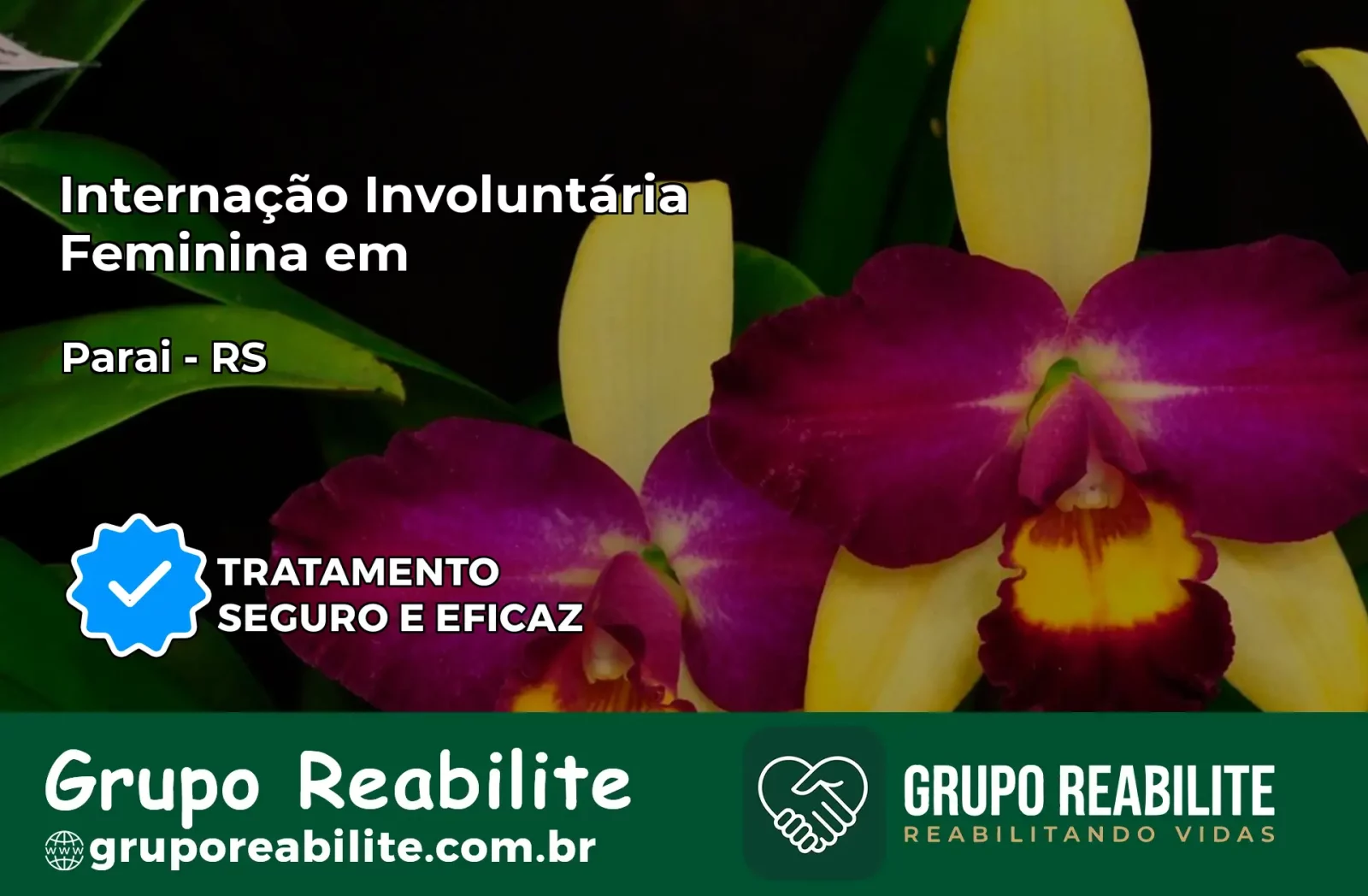 Internação Involuntária Feminina em Paraí: Salve a Vida de Quem Você Ama