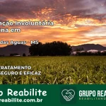 Internação Involuntária Feminina em Paraíso das Águas: Salve a Vida de Quem Você Ama