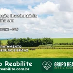 Internação Involuntária Feminina em Passa Tempo: Salve a Vida de Quem Você Ama