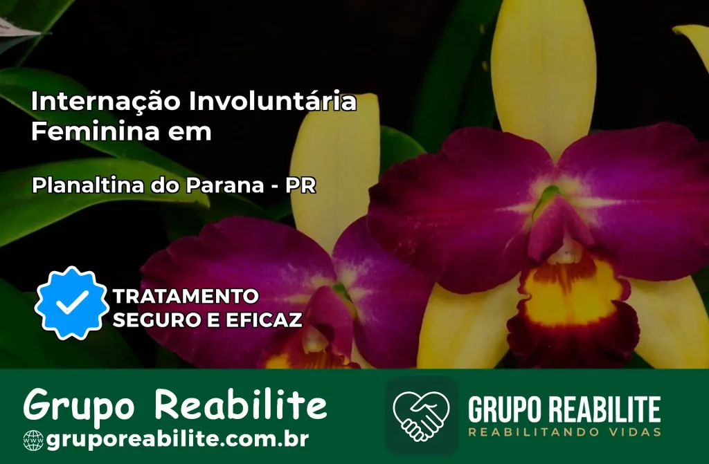 Internação Involuntária Feminina em Planaltina do Paraná: Salve a Vida de Quem Você Ama