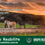 Internação Involuntária Feminina em Prados: Salve a Vida de Quem Você Ama