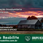 Internação Involuntária Feminina em Presidente Bernardes: Salve a Vida de Quem Você Ama