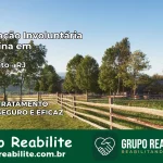 Internação Involuntária Feminina em Rio Bonito: Salve a Vida de Quem Você Ama