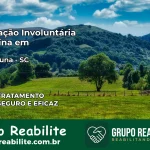 Internação Involuntária Feminina em Rio Fortuna: Salve a Vida de Quem Você Ama