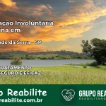 Internação Involuntária Feminina em Rio Grande da Serra: Salve a Vida de Quem Você Ama