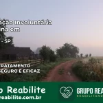 Internação Involuntária Feminina em Riversul: Salve a Vida de Quem Você Ama
