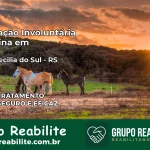 Internação Involuntária Feminina em Santa Cecília do Sul: Salve a Vida de Quem Você Ama