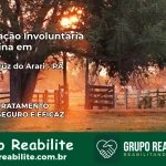 Internação Involuntária Feminina em Santa Cruz do Arari: Salve a Vida de Quem Você Ama