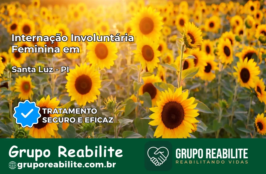 Internação Involuntária Feminina em Santa Luz: Salve a Vida de Quem Você Ama