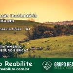 Internação Involuntária Feminina em Santa Rosa de Goiás: Salve a Vida de Quem Você Ama
