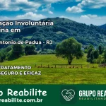 Internação Involuntária Feminina em Santo Antônio de Pádua: Salve a Vida de Quem Você Ama
