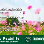 Internação Involuntária Feminina em Santo Antônio do Itambé: Salve a Vida de Quem Você Ama