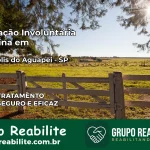Internação Involuntária Feminina em Santópolis do Aguapeí: Salve a Vida de Quem Você Ama