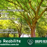 Internação Involuntária Feminina em São Domingos do Sul: Salve a Vida de Quem Você Ama