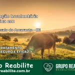 Internação Involuntária Feminina em São Gonçalo do Amarante: Salve a Vida de Quem Você Ama