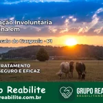 Internação Involuntária Feminina em São Gonçalo do Gurguéia: Salve a Vida de Quem Você Ama
