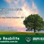 Internação Involuntária Feminina em São João das Duas Pontes: Salve a Vida de Quem Você Ama