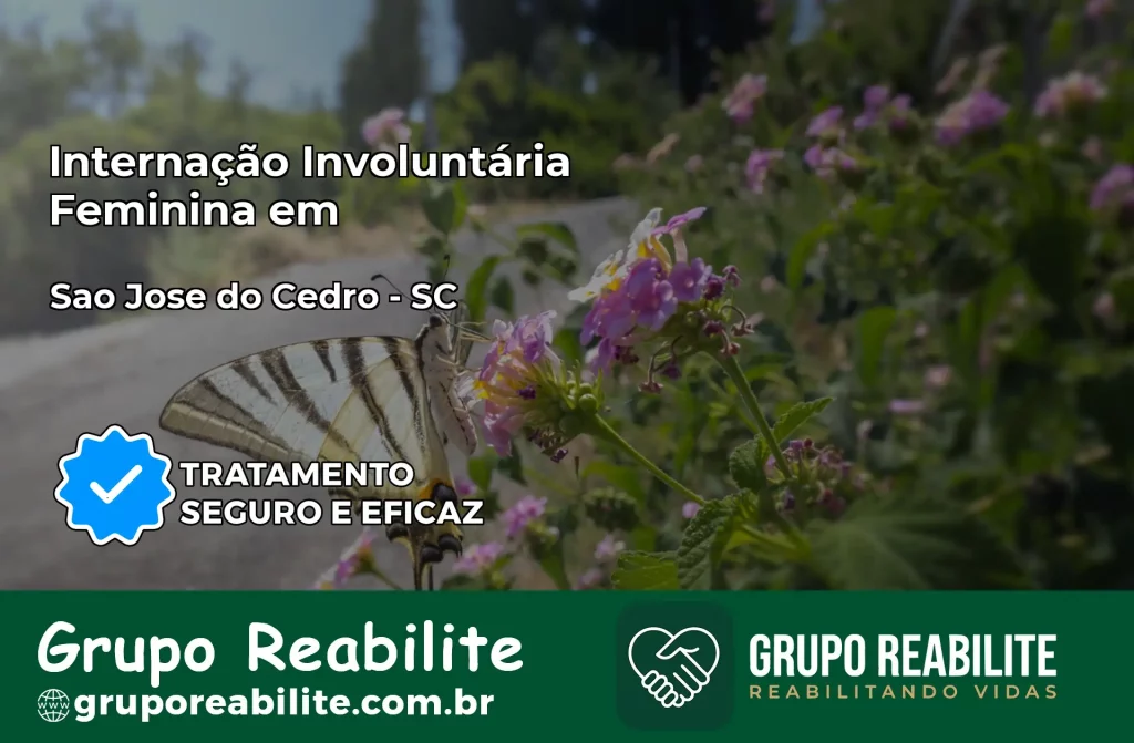 Internação Involuntária Feminina em São José do Cedro: Salve a Vida de Quem Você Ama