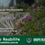 Internação Involuntária Feminina em São José do Cedro: Salve a Vida de Quem Você Ama