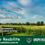 Internação Involuntária Feminina em São José do Goiabal: Salve a Vida de Quem Você Ama