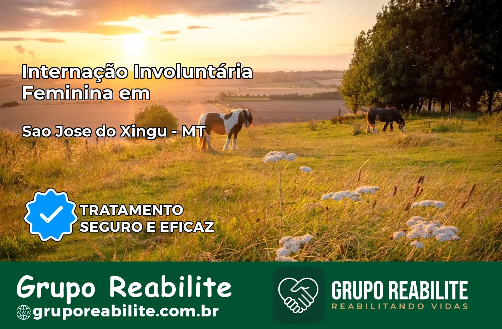 Internação Involuntária Feminina em São José do Xingu: Salve a Vida de Quem Você Ama