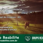 Internação Involuntária Feminina em São Miguel do Guaporé: Salve a Vida de Quem Você Ama