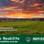 Internação Involuntária Feminina em Saudades: Salve a Vida de Quem Você Ama