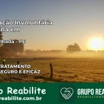 Internação Involuntária Feminina em Serra Talhada: Salve a Vida de Quem Você Ama