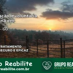 Internação Involuntária Feminina em Silvânia: Salve a Vida de Quem Você Ama