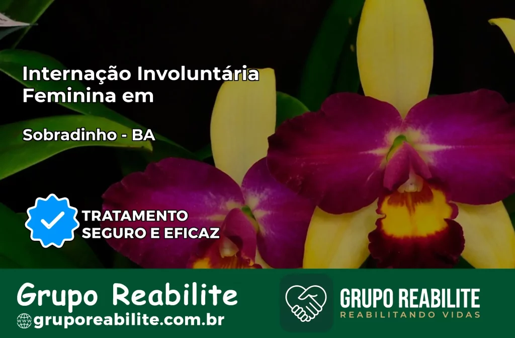 Internação Involuntária Feminina em Sobradinho: Salve a Vida de Quem Você Ama