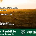 Internação Involuntária Feminina em Teodoro Sampaio: Salve a Vida de Quem Você Ama