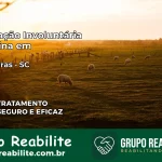 Internação Involuntária Feminina em Três Barras: Salve a Vida de Quem Você Ama