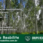 Internação Involuntária Feminina em Umbaúba: Salve a Vida de Quem Você Ama
