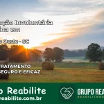 Internação Involuntária Feminina em União do Oeste: Salve a Vida de Quem Você Ama