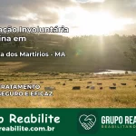 Internação Involuntária Feminina em Vila Nova dos Martírios: Salve a Vida de Quem Você Ama
