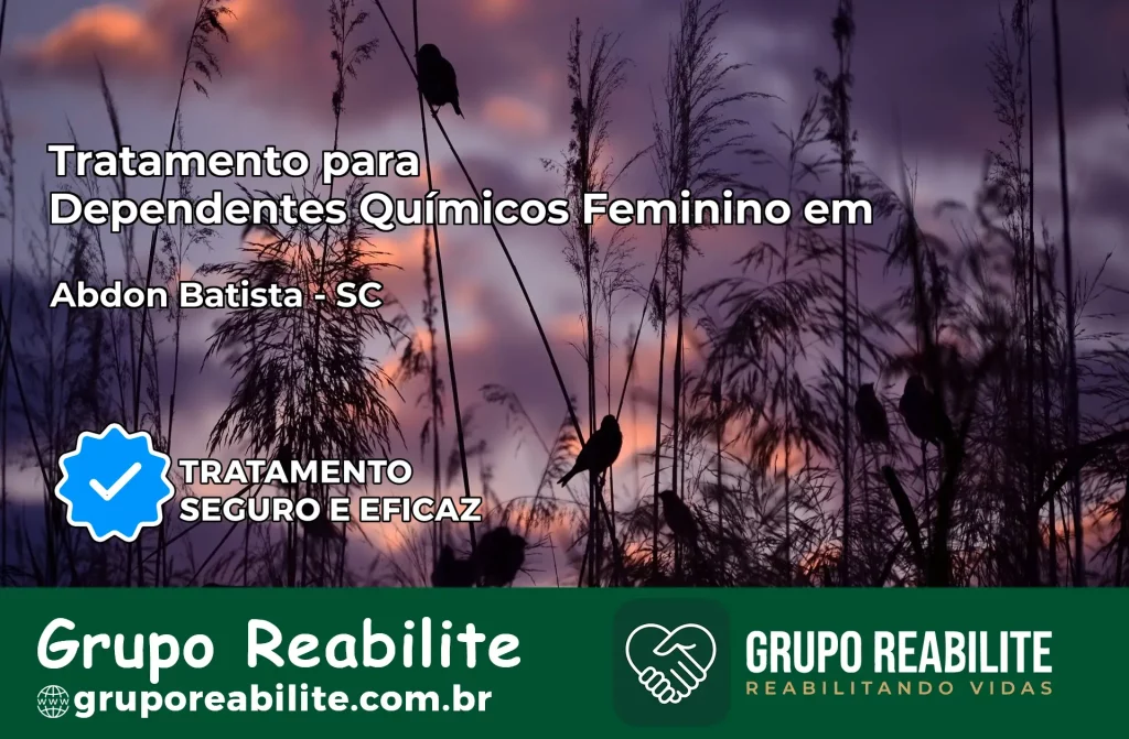 Tratamento para Dependentes Químicos Feminino em Abdon Batista – SC