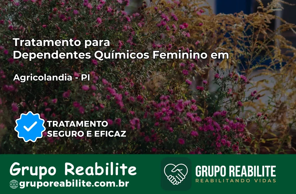 Tratamento para Dependentes Químicos Feminino em Agricolândia – PI