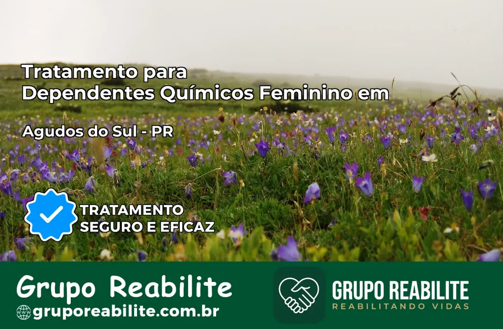 Tratamento para Dependentes Químicos Feminino em Agudos do Sul – PR