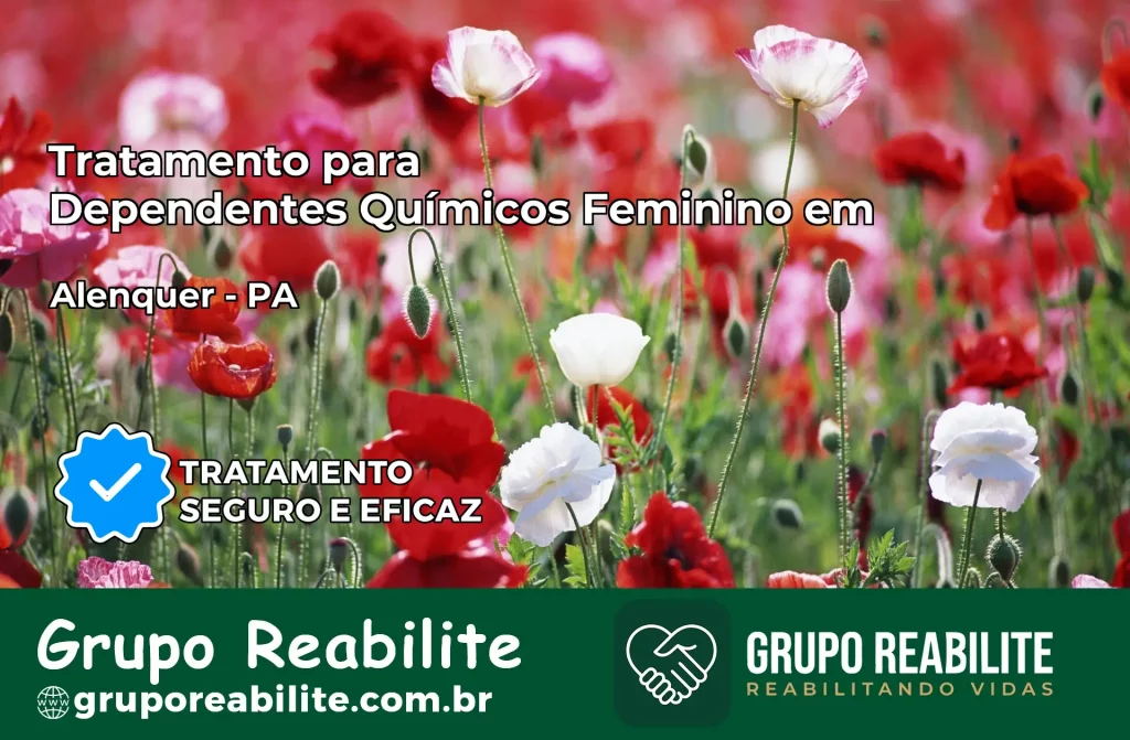 Tratamento para Dependentes Químicos Feminino em Alenquer – PA