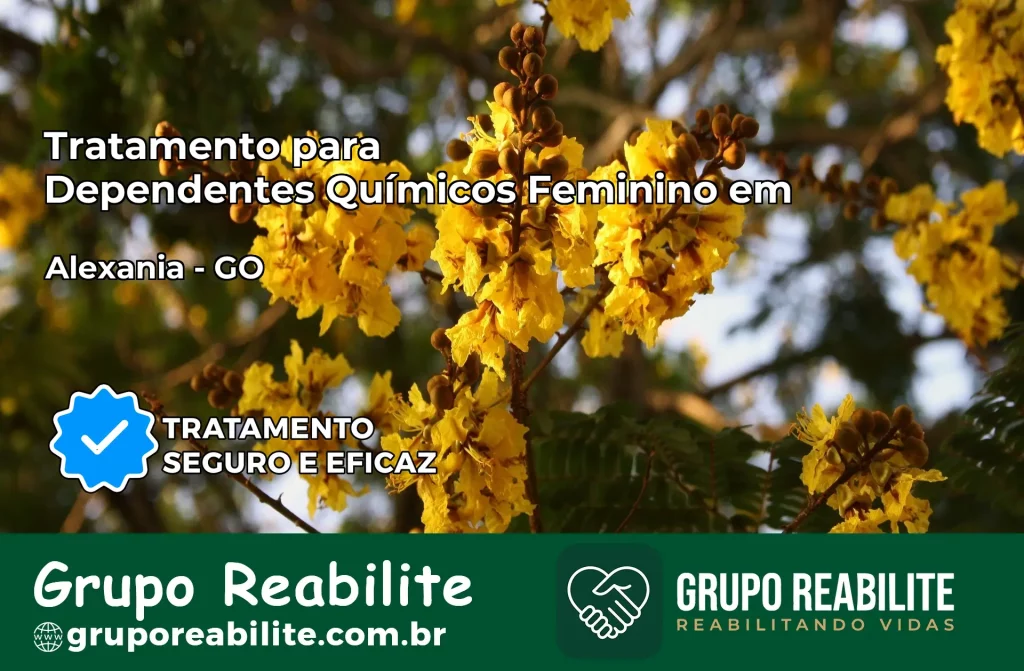 Tratamento para Dependentes Químicos Feminino em Alexânia – GO