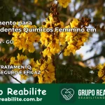 Tratamento para Dependentes Químicos Feminino em Alexânia – GO