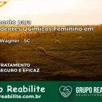 Tratamento para Dependentes Químicos Feminino em Alfredo Wagner – SC