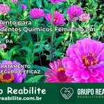 Tratamento para Dependentes Químicos Feminino em Altamira – PA